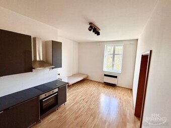 Pronájem bytu 2+kk, 55 m², Husinecká Žižkov