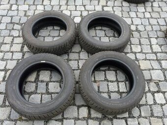 ZIMNÍ PNEU DUNLOP 185/60R15