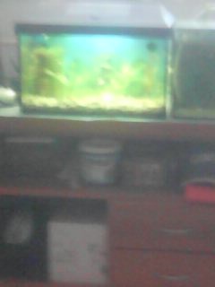 AKVARIJNI SET S OSVETLENIM LED NA 25 LITRU