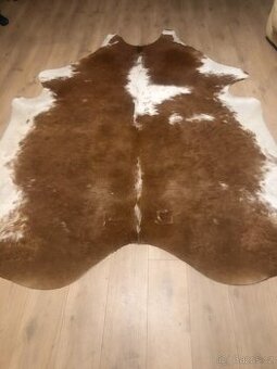 kOBEREC- KŮŽE PRAVÝ BŮVOL