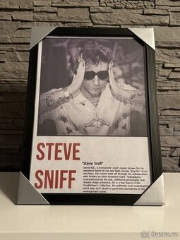 Steve Sniff - PrintArt s rámem