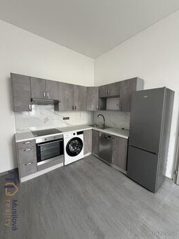 Pronájem bytu 1+1 43 m2