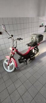 Manet Korado - 1