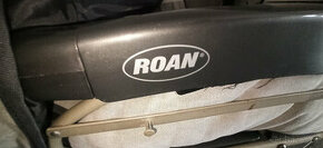 Roan