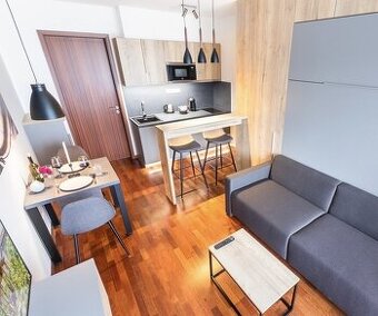 Pronájem luxusního bytu 1+kk s balkónem Praha 2 - Nové Město