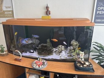 Prodám akvarium 450l