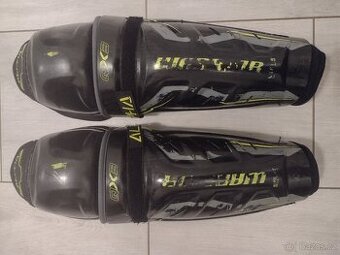 Hokejové holeně Warrior qx3 14"
