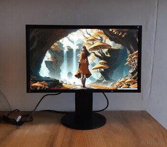 Eizo 23" IPS LED 16:9 1920x1080 FlexScan EV2336W