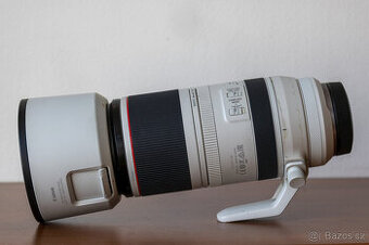 Canon RF 100-500mm f/4.5-7.1L IS USM