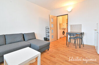 Podnájem bytu 1+kk, Jedovnická, Líšeň, 10.500 Kč/měs, 22 m2
