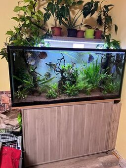 Akvárium komplet 450l