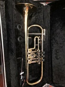 Trumpeta Červený - 1