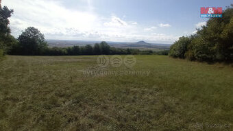 Prodej louky, 13227 m², Jenčice
