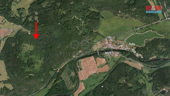 Prodej lesa, 8758 m², Čepice - 1