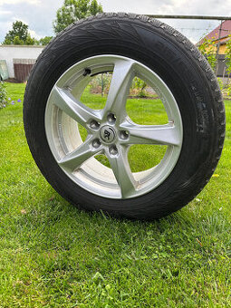 Sada zimních kol - VW Tiguan (215/65 R17) Nokian WR3