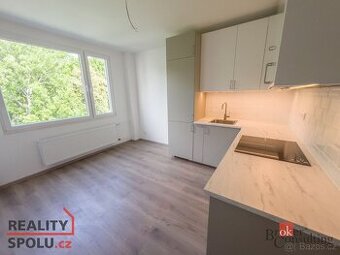 Prodej, byty/1+1, 43.5 m2, Školní 1507/6, 40502 Děčín, Děčín