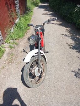 Prodám mustanga - 1