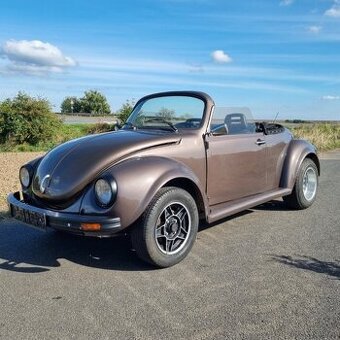 2x Vw Brouk