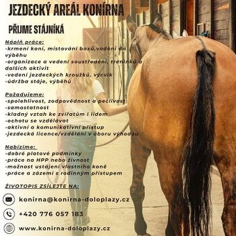 Nabídka práce stájník/ošetřovatel