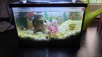 Akvárium 30x15x20, 9 litrů, s příslušenstvím