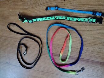 obojky a vodítka pro kočky