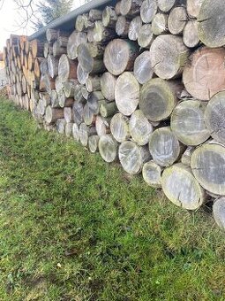 Palivové dřevo kulatina modřín