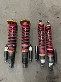 Protlum race favorit Felicia