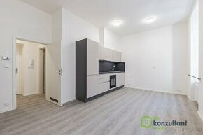 Pronájem byty 1+kk, 25 m2 - Brno - Veveří, ev.č. 00464