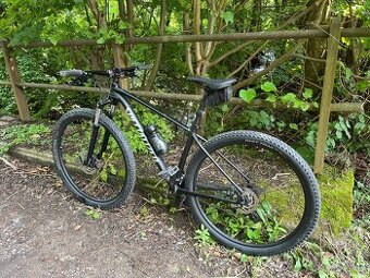 specialized rockhopper 29’