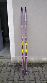Běžky Kneissel Ergoskate