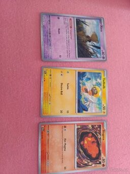 Karty Pokémon - 1