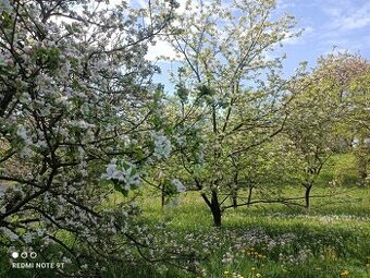 Prodej parcely