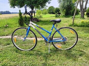 Dámské kolo Author Linea 19"