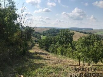 Prodej dvou pozemků s projektem a širokými možnostmi využití