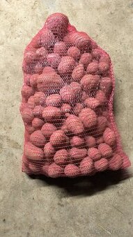 Prodám brambory na uskladnění