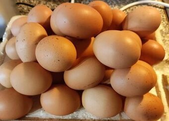 Domácí vajíčka