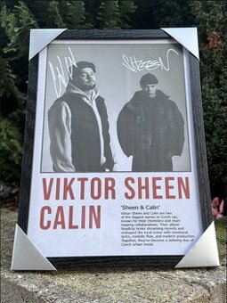 Calin a Viktor Sheen - Obraz (AKCE)💎