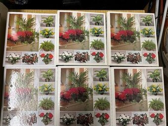 Pokojové rostliny od A do Z