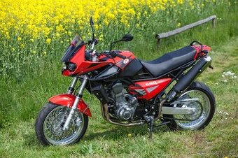 Koupím Jawa 660 sportard