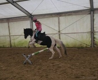 Pony A -  KVH 132cm