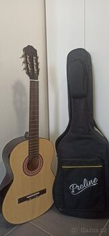 Kytara s kufrem