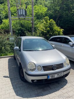 Polo 2004