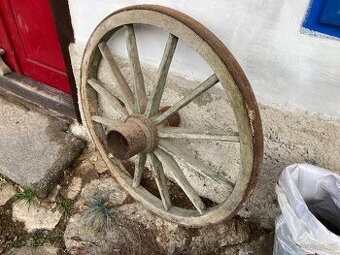 Kolo na žebřiňák  cca metr v průměru