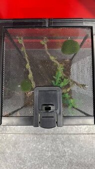 Terárium skákavka / Akvárium