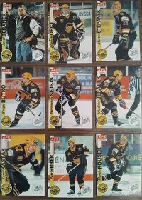 Hokejové karty HC Litvínov