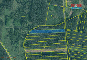 Prodej lesa, 4751 m², Bechyně - 1