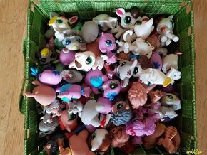 PETSHOP - 1
