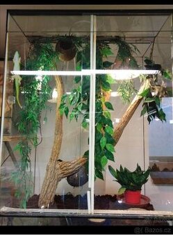 Terárium pro chameleona 40x40x80cm nepoužité,bez vybaveni, š