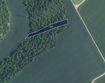 Sady, vinice, prodej, Uherčice, Břeclav