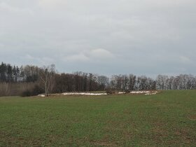 Stráž pod Ralskem 803